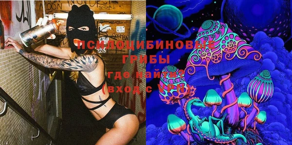 шишки Абдулино