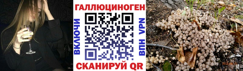 Галлюциногенные грибы GOLDEN TEACHER даркнет сайт Александровск-Сахалинский